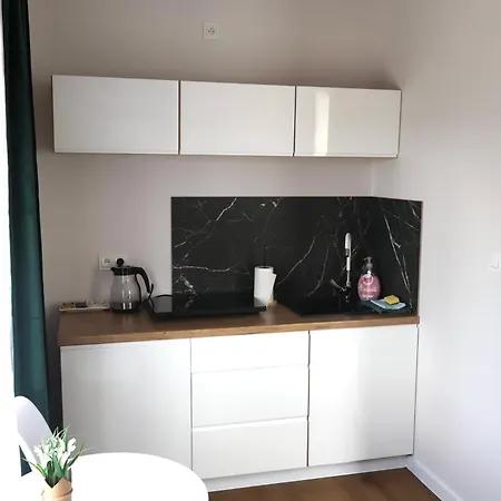 Pod Lwami בית אירוח